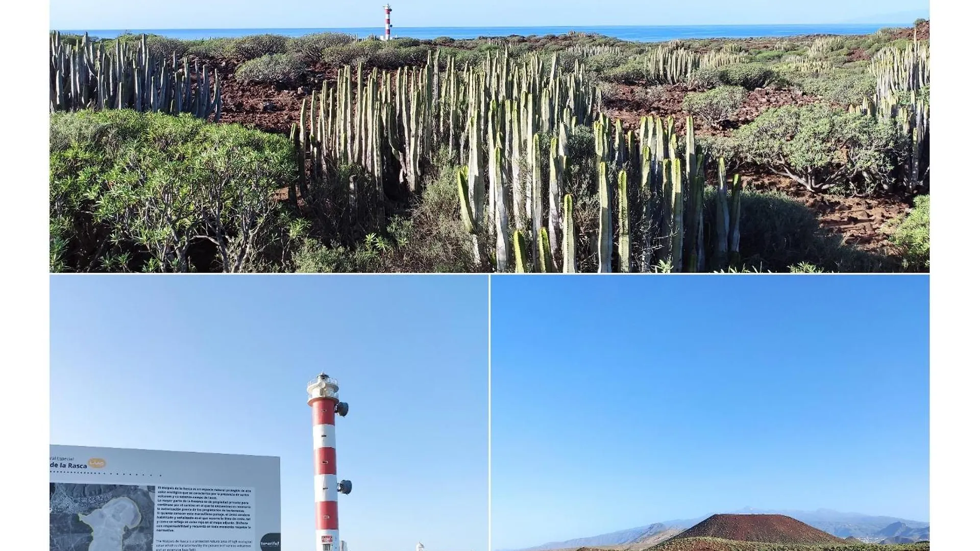 Tenerife Flamingo Palm-mar Appartement
